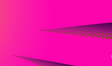 10 Common Mistakes First-Time Entrepreneurs Make (and How to Avoid Them)